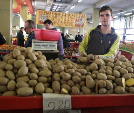 INS: fructele și cartofii, campioni la scumpiri