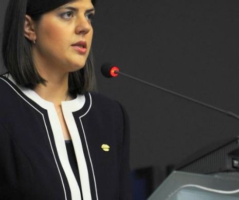 Kovesi: Sunt condamnați care își folosesc locuințele deoarece nimeni nu-i execută silit