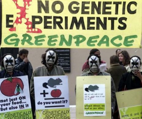 Serviciile secrete indiene acuză Greenpeace că pune pericol securitatea economică a ţării
