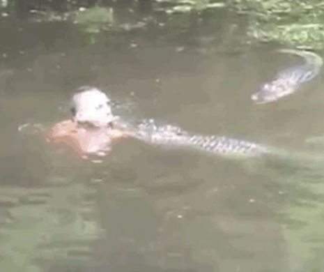 Un bărbat hrăneşte aligatorii cu dinţii. A fost filmat în timp ce făcea asta cu crocodilii VIDEO
