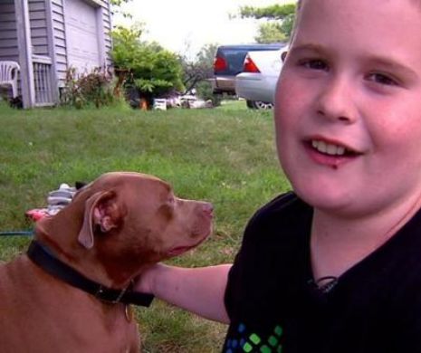 Câinele-erou. Un pitbull a salvat un copil fără auz dintr-un incendiu