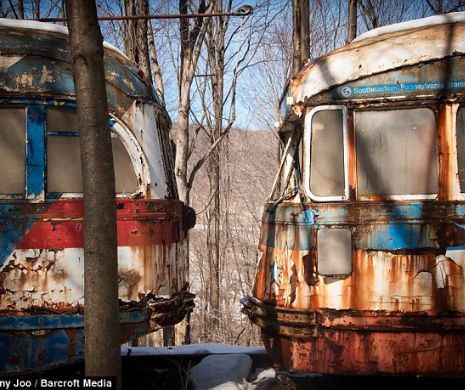 Cimitir de apocalipsă. Peste 70 de trenuri sunt abandonate într-o PĂDURE | GALERIE FOTO