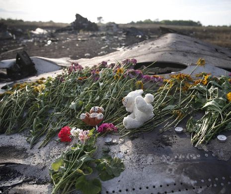 Malaysia Airlines retrage numele de cod MH17, după catastrofa aeriană din Ucraina