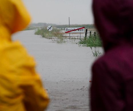 Sate IZOLATE de apă în Timiș. Ploaia torențială face ravagii în vestul țării