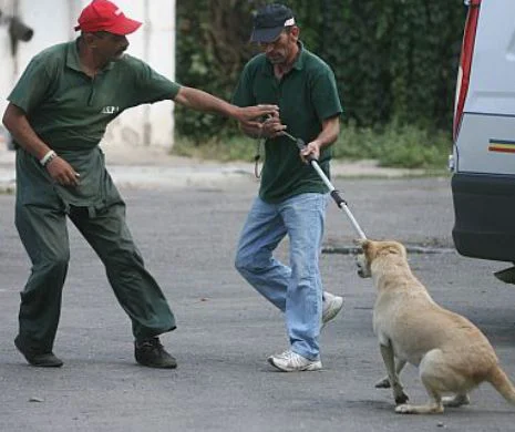 Scandalul dintre organizaţiile pro şi contra ridicării câinilor continuă. Poliţia a trimis un negociator