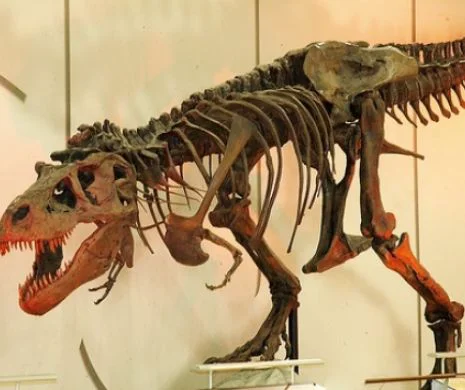 Schelete de dinozauri la preţul de 350.000 de euro scoase la vânzare de casa de licitaţii Sotheby's la Paris