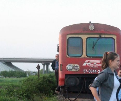 TIR lovit în plin de un tren Regio lângă Timișoara