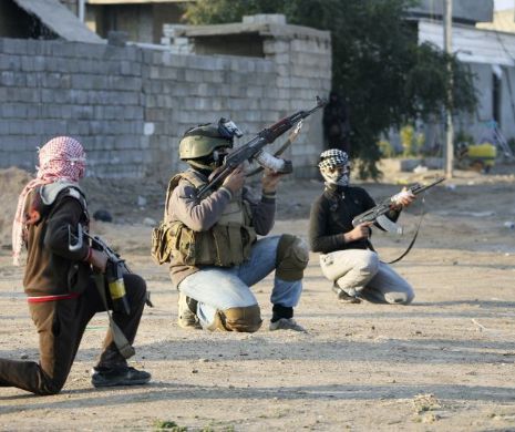 Cehia ar putea trimite arme kurzilor irakieni, la sfârşitul lunii. Austria vrea să acorde doar ajutor umanitar