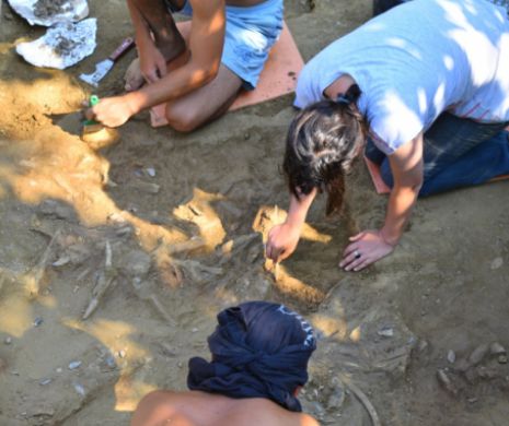 Descoperiri arheologice incredibile pe un sit din Piatra Neamţ