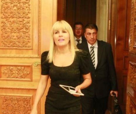 Elena Udrea anunță că va fi „președinte luptător”