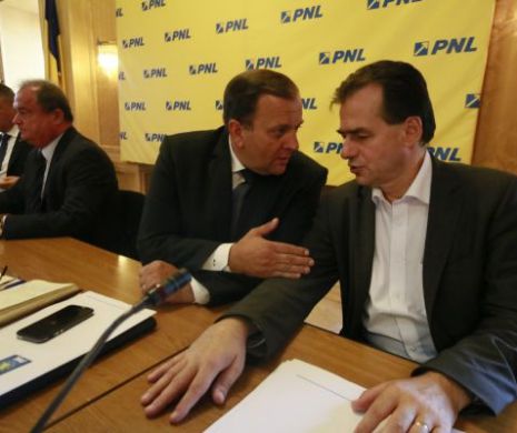 Iohannis vrea electoratul lui Macovei în turul II