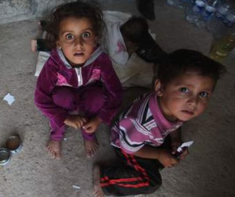 Irakienii refugiaţi pe Muntele Sinjar le dau copiilor să bea sânge pentru a-i menţine în viaţă