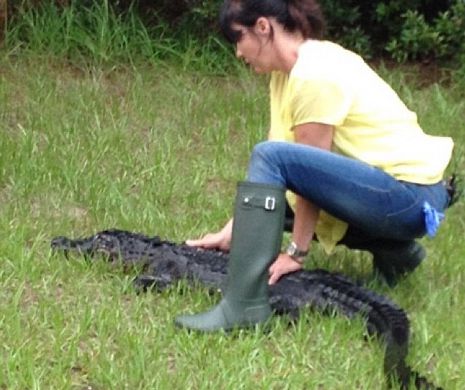 O vedetă a dat drumul unui aligator de aptru metri în pădure: Mă bucur că l-am lăsat în mediul lui