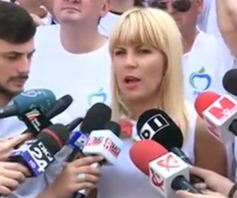 PMP Buzău: Susţinem fără rezerve schimbarea candidaturii lui Diaconescu. Udrea ar aduce multe voturi