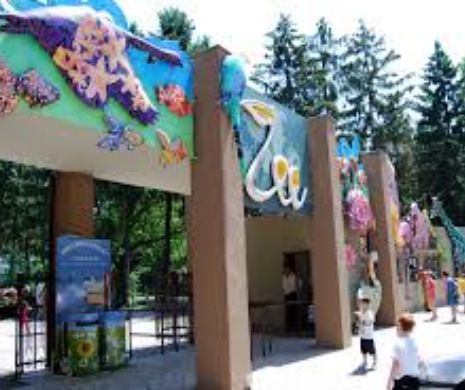 Program special pentru copii la Zoo București