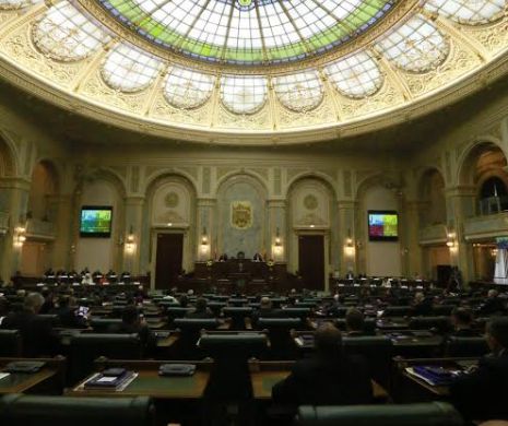 Senat: Amnistia fiscală în cazul pensionarilor şi al mamelor se află pe ordinea de zi a plenului