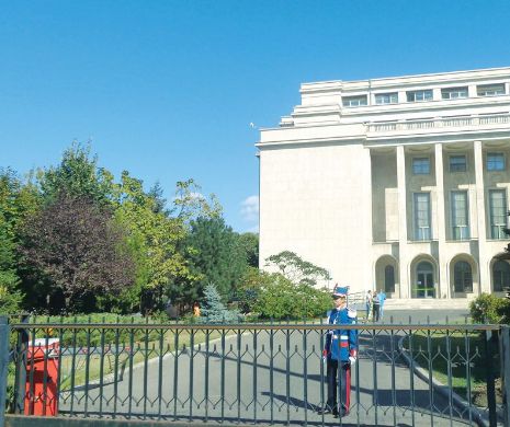 Adrian Sobaru a forțat intrarea în Guvernul României