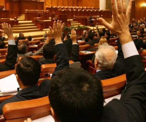 Amnistierea fiscală, adoptată pe articole în Senat