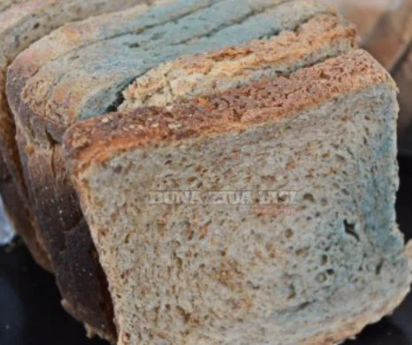 Cea mai scumpă pâine pentru copii din Iași, plină de mucegai. Produsul era în garanție