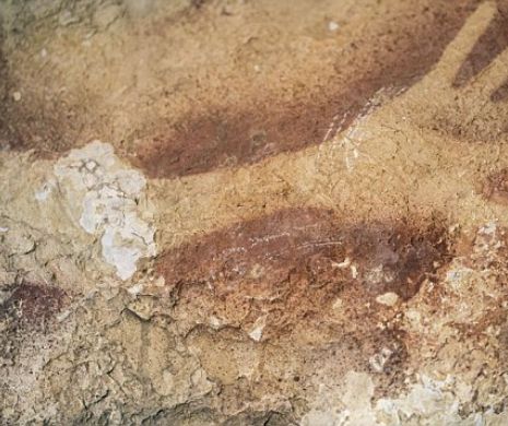 Picturi vechi de 40.000 de ani descoperite în Indonezia pus sub semnul întrebării ISTORIA umanităţii. Vezi cum arată