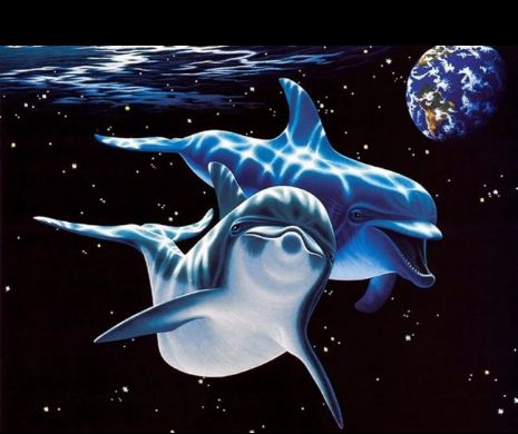 Program STRICT SECRET: Incredibilele UTILIZĂRI ale delfinilor