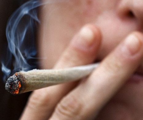 Rezultate dezastruase la învăţătură pentru adolescenţii care fumează canabis. Un studiu o demonstrează