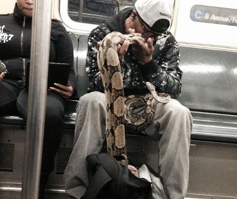 TEROARE la metrou. Ce a scos un bărbat din geantă a ÎNGROZIT călătorii | FOTO