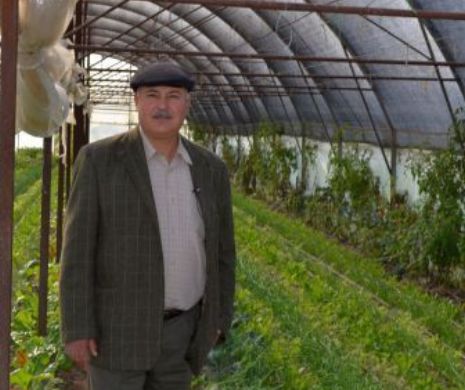 Un fost comandor român în Irak a transformat un hectar de pârloagă într-o fermă profitabilă de legume bio