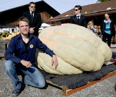 Vezi cum arată cel mai mare DOVLEAC din lume: cântărește O TONĂ și a crescut în Elveția