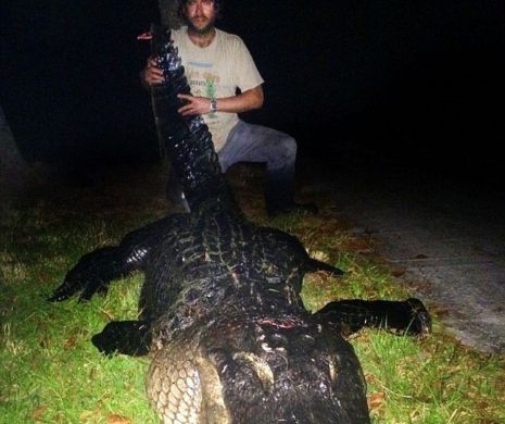 A capturat un MONSTRU. Vânătorul care a doborât un crocodil de peste 300 de kilograme