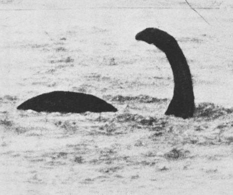 A fost descoperit MONSTRUL căutat de SECOLE? Imaginile ŞOCANTE surpsinse de un scoţian în Loch Ness | GALERIE FOTO