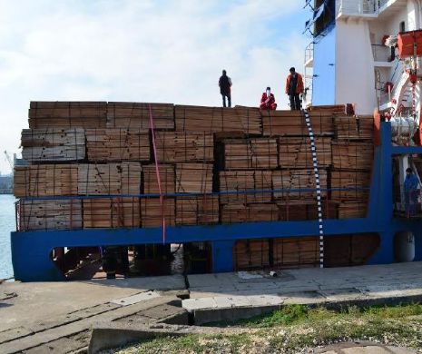 Contrabandă cu cherestea de milioane de euro în portul Constanţa, blocată de Poliţia de Frontieră