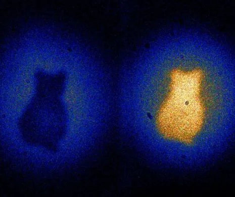 Din MINUNĂŢIILe mecanicii cuantice: fotografii „fantomă” cu fotonii entangled