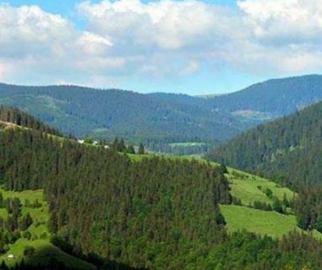Fondul Bisericesc al Bucovinei pierde la ICCJ procesul prin care revendica 166.000 ha de pădure