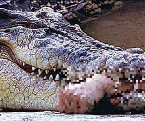 ÎNGROZITOR. Un crocodil a DEVORAT o femeie GRAVIDĂ | Galerie foto