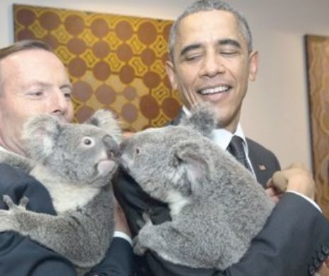 Obama , un ursuleţ şi Primul MInistru din Australia