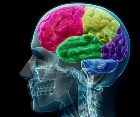 Rețeta unui creier sănătos: alimente naturale, sport și lectură