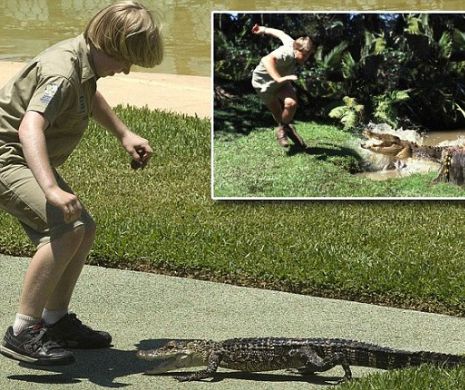 Robert, fiul lui Steve Irwin, pe urmele tatălui: La 10 ani hrănește crocodilii înfometați | GALERIE FOTO și VIDEO