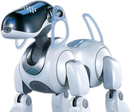 Săracul robot CANIN: A rămas fără „veterinari”. Ce se va întâmpla cu el