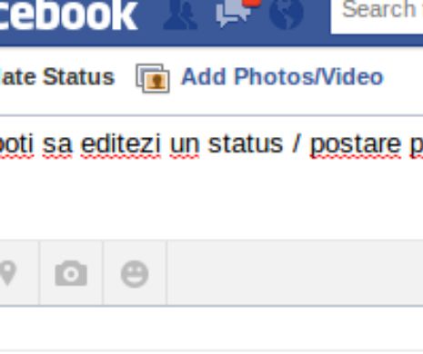 ATENȚIE LA CE POSTAȚI! Facebook este spaţiu public, arată ÎCCJ