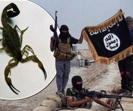 Jihadiştii ISIS folosesc BOMBE cu SCORPIONI vii pentru a răspândi TEROAREA. Tactica este una veche de 2.000 de ani