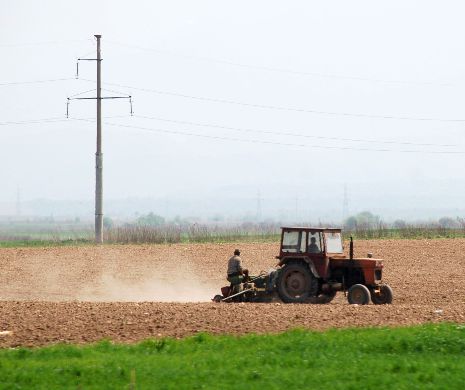 România a pierdut 900.000 de hectare de teren agricol în ultimii 11 ani