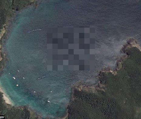 S-a uitat pe Google Earth şi a ÎNLEMNIT de frică. Ce MONSTRU a descoperit în apă | FOTO