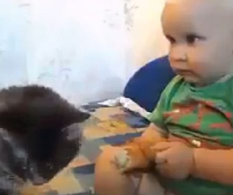 A devenit VIRAL pe internet. Ce a putut să-i facă o pisică unui bebeluş de câteva luni. Clipul care a uimit o lume întreagă | VIDEO