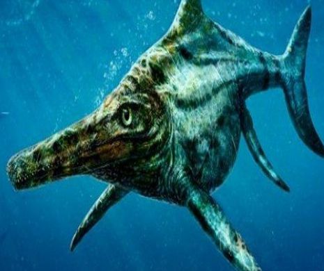 A fost găsit vărul MONSTRULUI din Loch Ness: Reptila marină gigant contemporană cu dinozaurii  seamănă cu un delfin | FOTO şi VIDEO