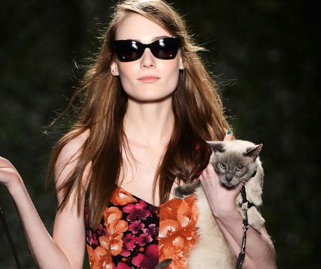 Cu pisicile pe catwalk: Ultimul miau al modei