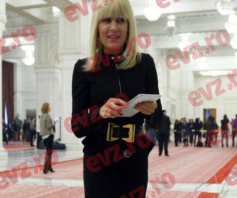 Elena Udrea: Cel mai probabil nu mai candidez la funcţia de preşedinte al PMP