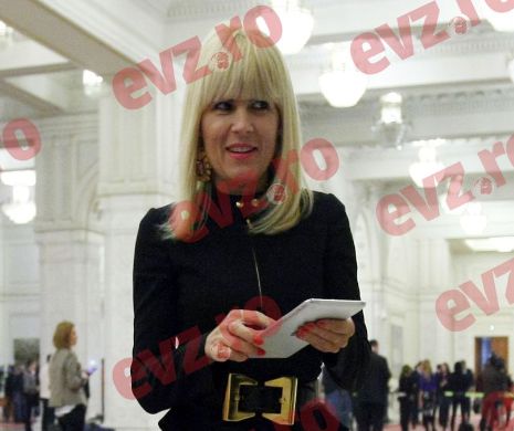 Elena Udrea: PMP nu e invitat la Cotroceni pentru că nu elogiază activitatea lui Iohannis