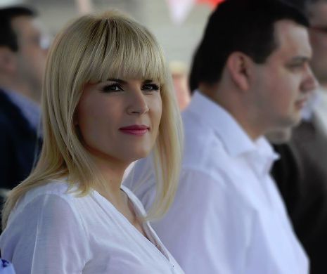 Elena Udrea: PMP va veni luni cu o iniţiativă legislativă care să se aplice tuturor creditelor în valută