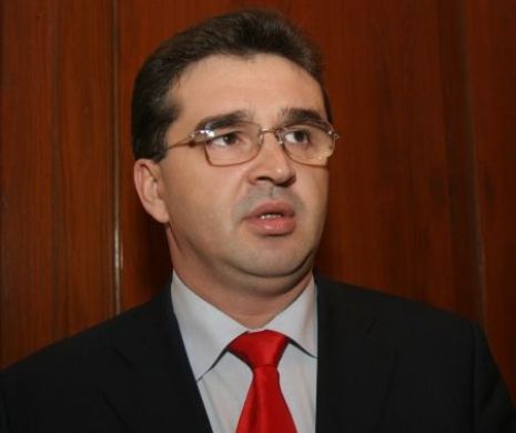 Experta lui Oprișan, afaceri cu familia lui Ștefan Rădulescu